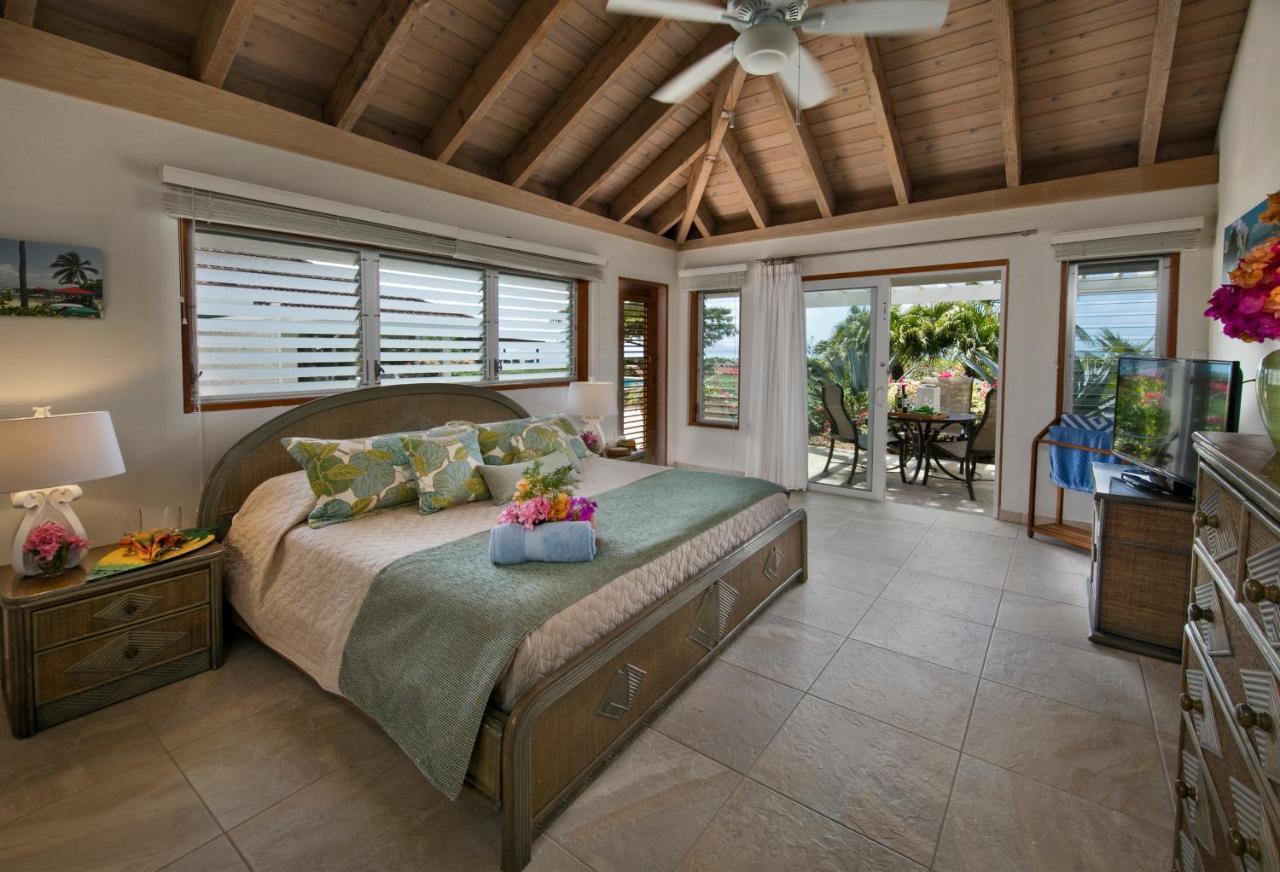Beachcomber Villa Spanish Town Esterno foto